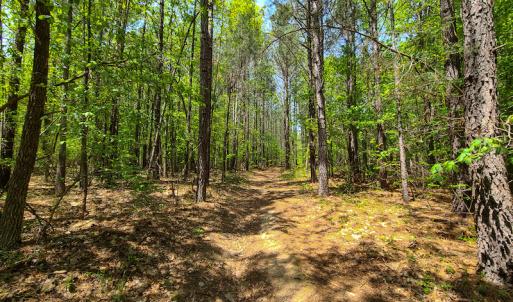 Photo #18 of 1035 Mill Road, Clover, VA 217.9 acres