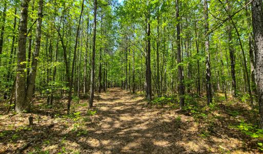 Photo #20 of 1035 Mill Road, Clover, VA 217.9 acres