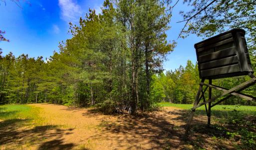 Photo #23 of 1035 Mill Road, Clover, VA 217.9 acres