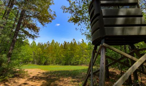 Photo #24 of 1035 Mill Road, Clover, VA 217.9 acres