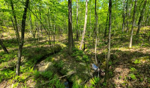 Photo #26 of 1035 Mill Road, Clover, VA 217.9 acres