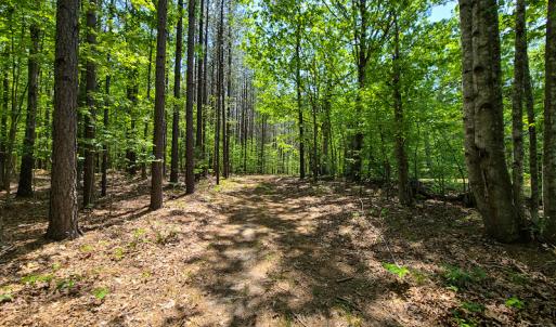 Photo #27 of 1035 Mill Road, Clover, VA 217.9 acres