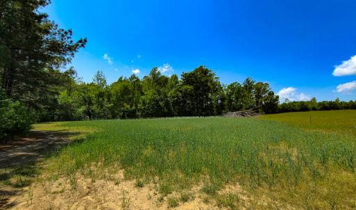 Photo #28 of 1035 Mill Road, Clover, VA 217.9 acres