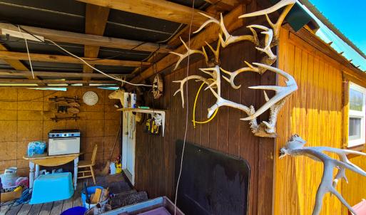 Photo #30 of 1035 Mill Road, Clover, VA 217.9 acres