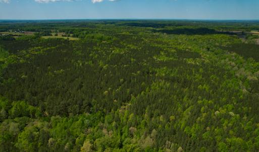 Photo #34 of 1035 Mill Road, Clover, VA 217.9 acres