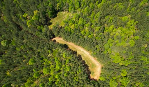 Photo #35 of 1035 Mill Road, Clover, VA 217.9 acres