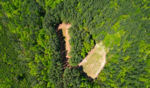 Photo #39 of 1035 Mill Road, Clover, VA 217.9 acres