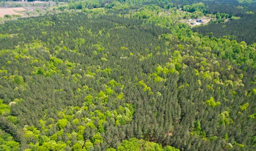 Photo #40 of 1035 Mill Road, Clover, VA 217.9 acres