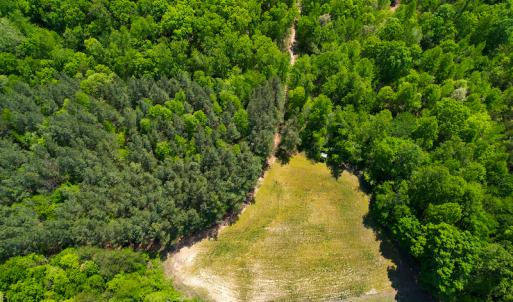 Photo #41 of 1035 Mill Road, Clover, VA 217.9 acres