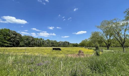 Photo #14 of SOLD property in Off East River Road, Cardinal, VA 10.3 acres