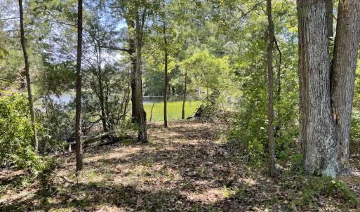 Photo #17 of SOLD property in Off East River Road, Cardinal, VA 10.3 acres