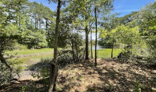 Photo #18 of SOLD property in Off East River Road, Cardinal, VA 10.3 acres