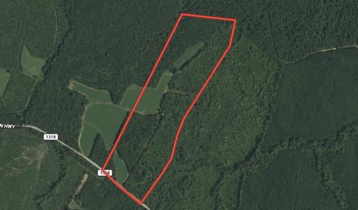 Photo #1 of SOLD property in Off Old Macon Hwy, Macon, NC 42.0 acres