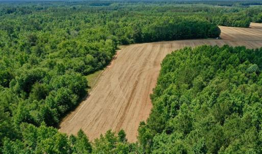 Photo #3 of SOLD property in Off Old Macon Hwy, Macon, NC 42.0 acres