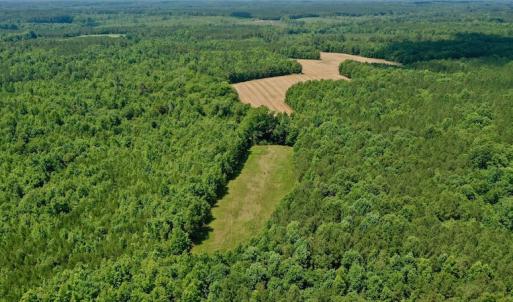 Photo #5 of SOLD property in Off Old Macon Hwy, Macon, NC 42.0 acres