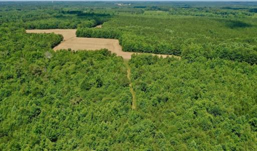 Photo #6 of SOLD property in Off Old Macon Hwy, Macon, NC 42.0 acres