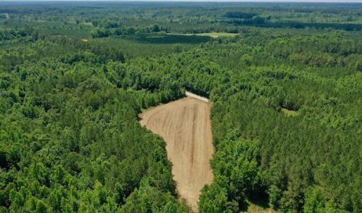 Photo #8 of SOLD property in Off Old Macon Hwy, Macon, NC 42.0 acres