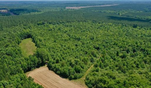 Photo #11 of SOLD property in Off Old Macon Hwy, Macon, NC 42.0 acres