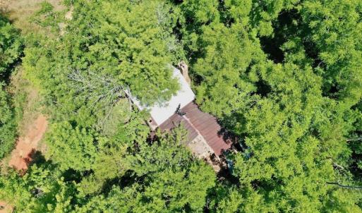 Photo #15 of SOLD property in Off Old Macon Hwy, Macon, NC 42.0 acres