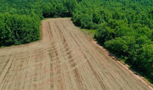 Photo #16 of SOLD property in Off Old Macon Hwy, Macon, NC 42.0 acres