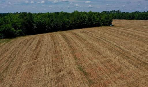 Photo #18 of SOLD property in Off Old Macon Hwy, Macon, NC 42.0 acres