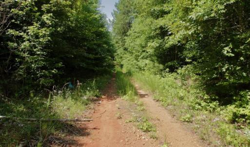 Photo #24 of SOLD property in Off Old Macon Hwy, Macon, NC 42.0 acres