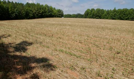 Photo #28 of SOLD property in Off Old Macon Hwy, Macon, NC 42.0 acres