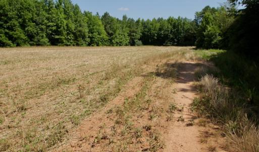 Photo #29 of SOLD property in Off Old Macon Hwy, Macon, NC 42.0 acres