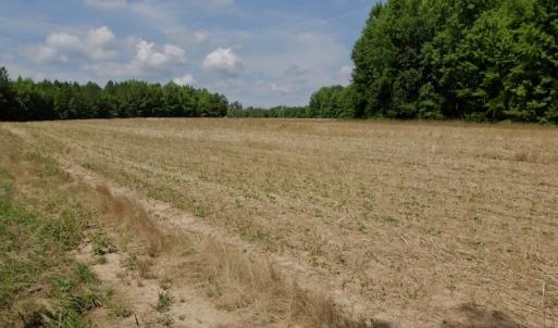 Photo #34 of SOLD property in Off Old Macon Hwy, Macon, NC 42.0 acres