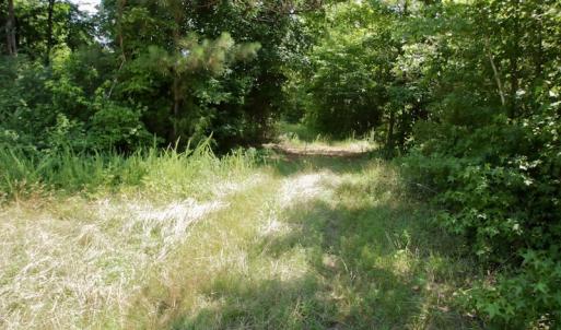 Photo #35 of SOLD property in Off Old Macon Hwy, Macon, NC 42.0 acres