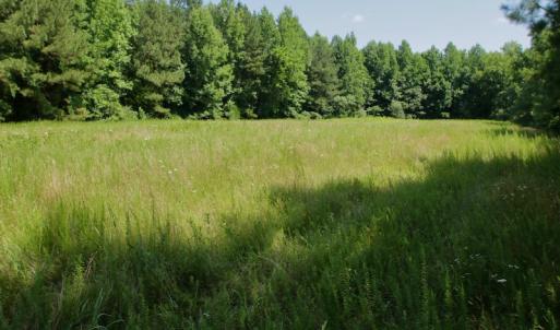 Photo #37 of SOLD property in Off Old Macon Hwy, Macon, NC 42.0 acres