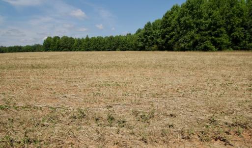 Photo #41 of SOLD property in Off Old Macon Hwy, Macon, NC 42.0 acres