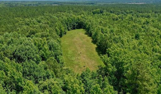 Photo #4 of SOLD property in Off Old Macon Hwy, Macon, NC 42.0 acres