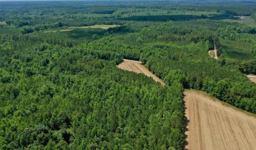 Photo #12 of SOLD property in Off Old Macon Hwy, Macon, NC 42.0 acres