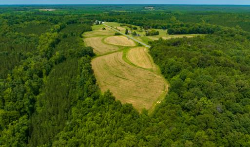 Photo #4 of SOLD property in Off Ephesus Church Road, Semora, NC 17.5 acres