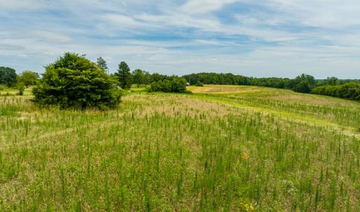 Photo #10 of SOLD property in Off Ephesus Church Road, Semora, NC 17.5 acres