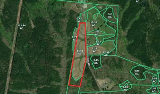 Photo #11 of SOLD property in Off Ephesus Church Road, Semora, NC 17.5 acres