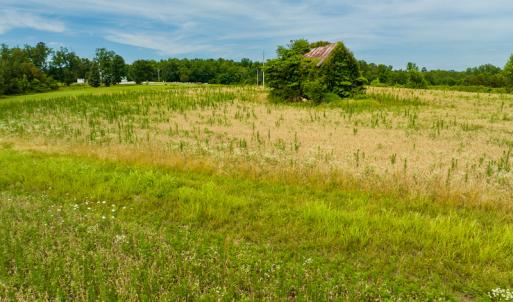 Photo #14 of SOLD property in Off Ephesus Church Road, Semora, NC 17.5 acres