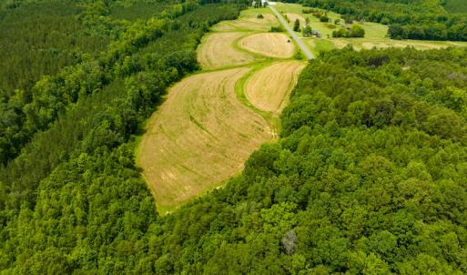 Photo #15 of SOLD property in Off Ephesus Church Road, Semora, NC 17.5 acres