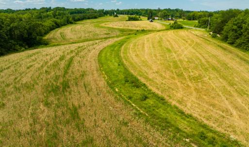Photo #16 of SOLD property in Off Ephesus Church Road, Semora, NC 17.5 acres