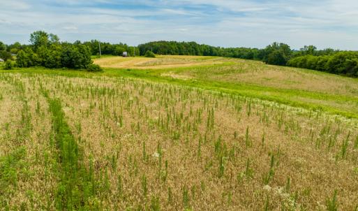 Photo #18 of SOLD property in Off Ephesus Church Road, Semora, NC 17.5 acres
