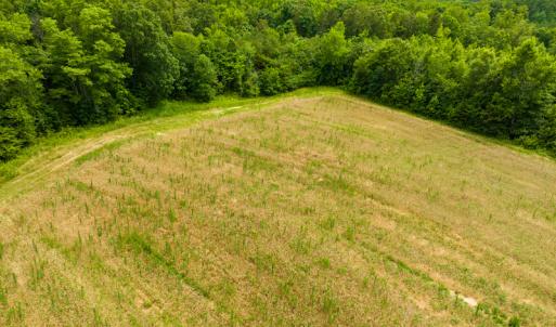 Photo #28 of SOLD property in Off Ephesus Church Road, Semora, NC 17.5 acres