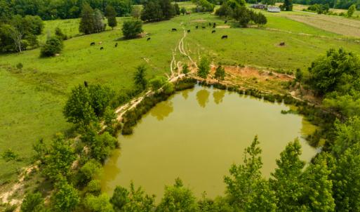 Photo #9 of SOLD property in Off Ephesus Church Road, Semora, NC 34.1 acres