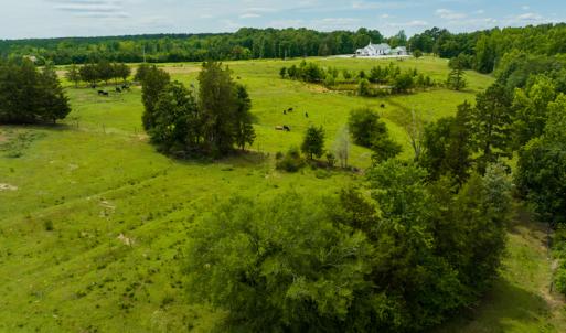 Photo #16 of SOLD property in Off Ephesus Church Road, Semora, NC 34.1 acres