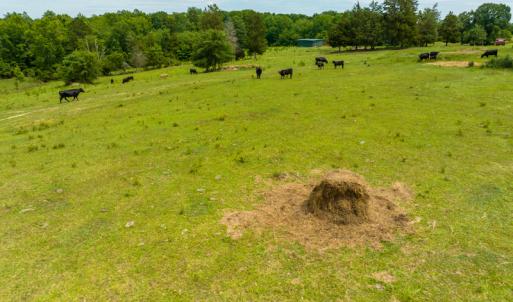 Photo #19 of SOLD property in Off Ephesus Church Road, Semora, NC 34.1 acres