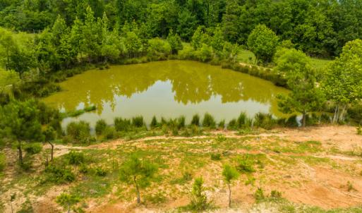 Photo #20 of SOLD property in Off Ephesus Church Road, Semora, NC 34.1 acres
