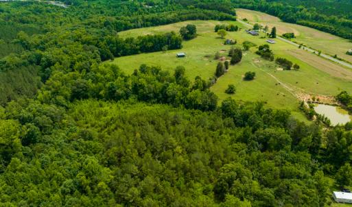 Photo #21 of SOLD property in Off Ephesus Church Road, Semora, NC 34.1 acres