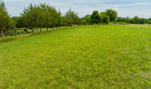 Photo #32 of SOLD property in Off Ephesus Church Road, Semora, NC 34.1 acres