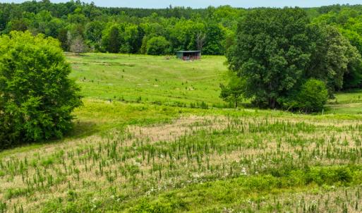 Photo #34 of SOLD property in Off Ephesus Church Road, Semora, NC 34.1 acres