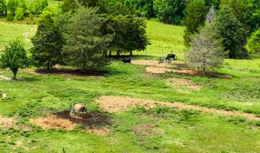 Photo #36 of SOLD property in Off Ephesus Church Road, Semora, NC 34.1 acres